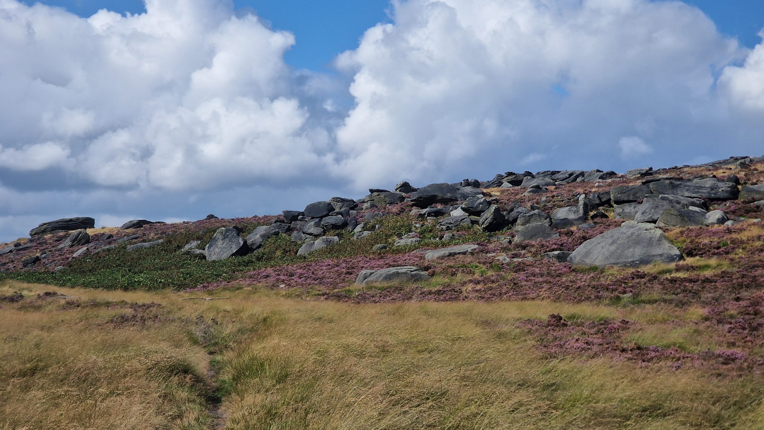 Summer 2024 at Stony Edge; purple heather and gritstone boulders are visible